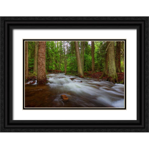 Flow Black Ornate Wood Framed Art Print with Double Matting by Sherrell, Bill