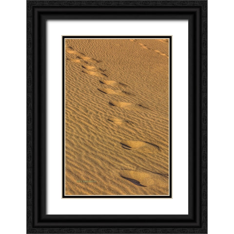 Footprints In The Sand Black Ornate Wood Framed Art Print with Double Matting by Sherrell, Bill
