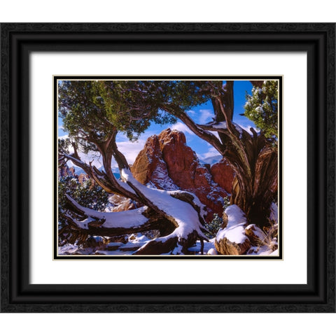 Framed By Nature Black Ornate Wood Framed Art Print with Double Matting by Sherrell, Bill