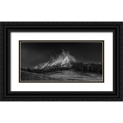Frozen Whimsey-Black And White Black Ornate Wood Framed Art Print with Double Matting by Sherrell, Bill