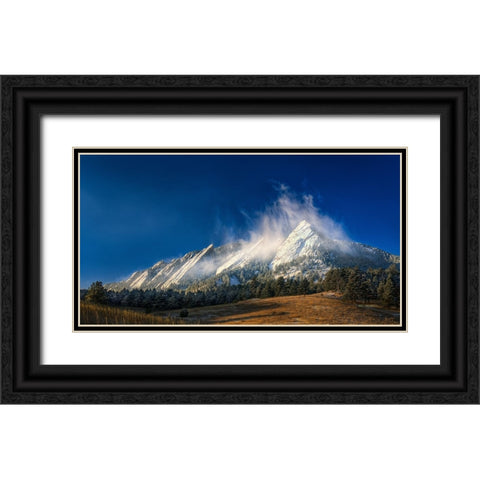 Frozen Whimsy Black Ornate Wood Framed Art Print with Double Matting by Sherrell, Bill