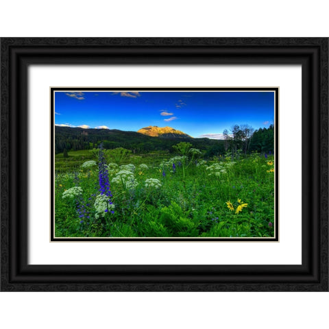Light Whispers And Wildflowers Black Ornate Wood Framed Art Print with Double Matting by Sherrell, Bill