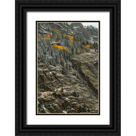 Outlines And Color Slivers Black Ornate Wood Framed Art Print with Double Matting by Sherrell, Bill