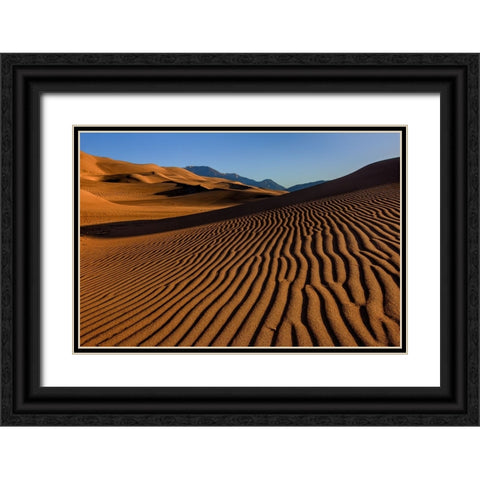 Pebble On A Sand Dune Black Ornate Wood Framed Art Print with Double Matting by Sherrell, Bill