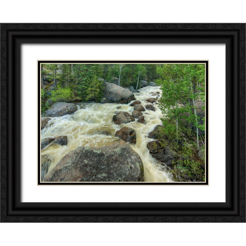 Rapid Change Black Ornate Wood Framed Art Print with Double Matting by Sherrell, Bill