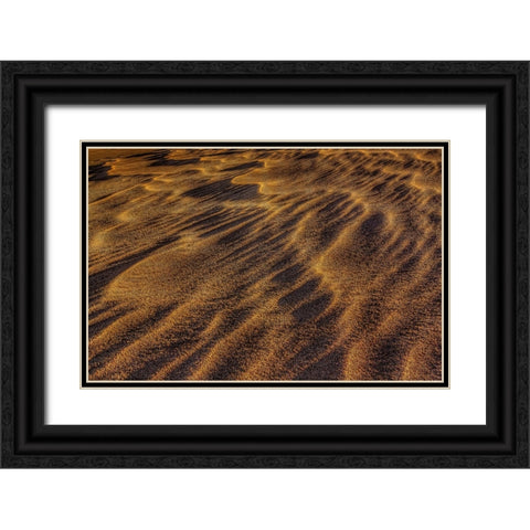 Sandwaves Black Ornate Wood Framed Art Print with Double Matting by Sherrell, Bill