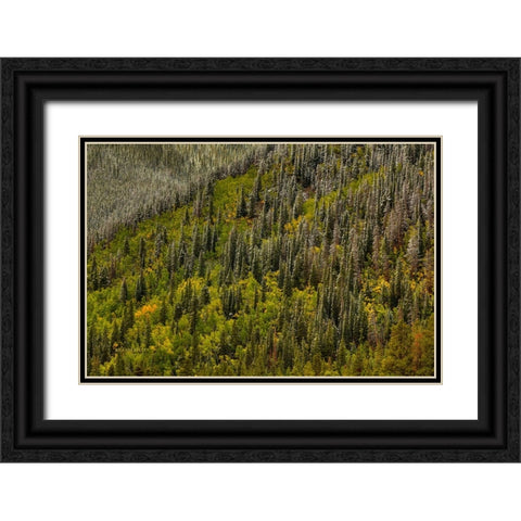 Snowspires Black Ornate Wood Framed Art Print with Double Matting by Sherrell, Bill