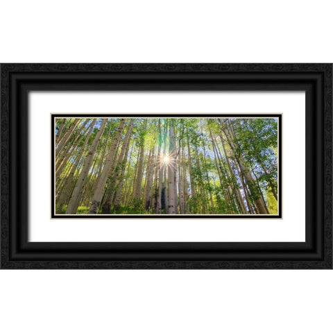 Starshine Black Ornate Wood Framed Art Print with Double Matting by Sherrell, Bill