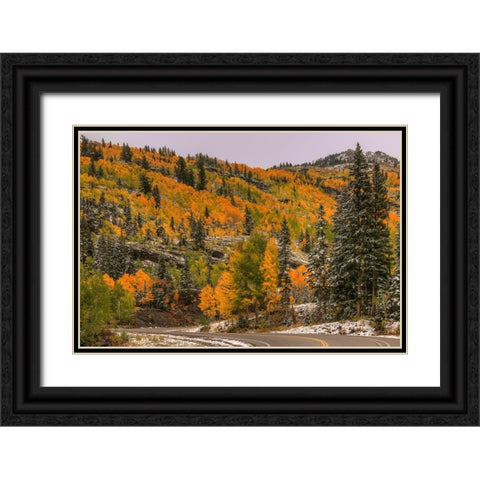 Switchback Autumn Black Ornate Wood Framed Art Print with Double Matting by Sherrell, Bill