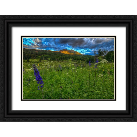 The Dawning Of Majesty Black Ornate Wood Framed Art Print with Double Matting by Sherrell, Bill