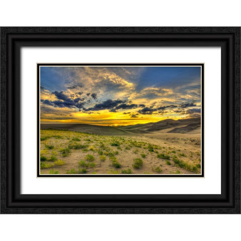 The Edge Of Life Black Ornate Wood Framed Art Print with Double Matting by Sherrell, Bill