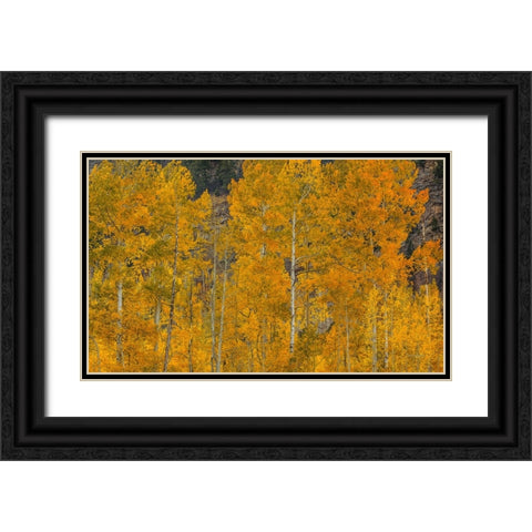 The Flames Of Autumn Black Ornate Wood Framed Art Print with Double Matting by Sherrell, Bill