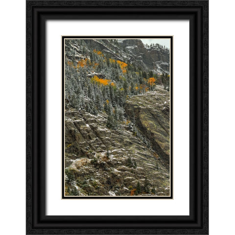 White Lace And Autumn Slivers Black Ornate Wood Framed Art Print with Double Matting by Sherrell, Bill