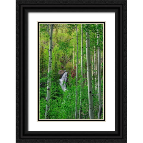 Wilderness Falls Black Ornate Wood Framed Art Print with Double Matting by Sherrell, Bill