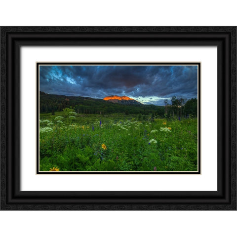 Wildflowers And Mountain Majesty Black Ornate Wood Framed Art Print with Double Matting by Sherrell, Bill
