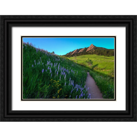 A Walk On The Wild Side Black Ornate Wood Framed Art Print with Double Matting by Sherrell, Bill