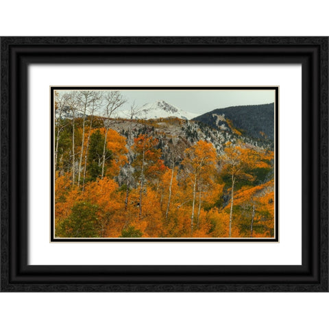 Aspen Outlines Black Ornate Wood Framed Art Print with Double Matting by Sherrell, Bill