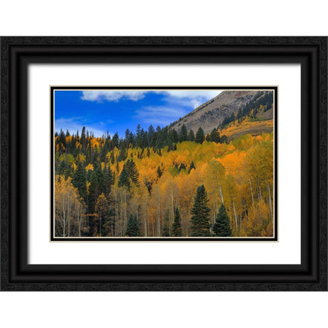 Autumn Dream Black Ornate Wood Framed Art Print with Double Matting by Sherrell, Bill