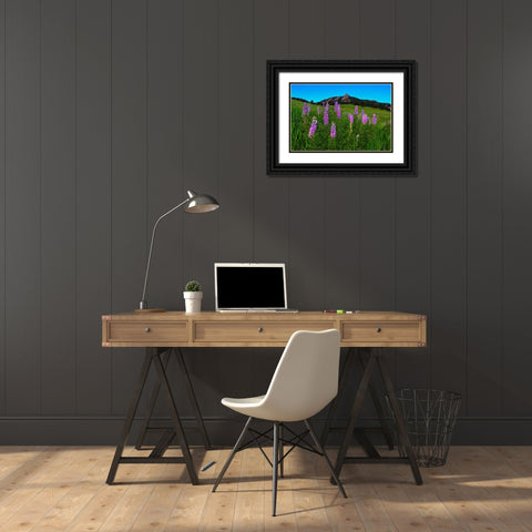 Spring Wildflowers At The Flatirons Black Ornate Wood Framed Art Print with Double Matting by Sherrell, Bill
