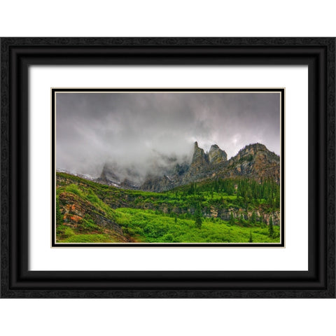 The Unveling Of Majesty Black Ornate Wood Framed Art Print with Double Matting by Sherrell, Bill