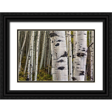 Trunks Black Ornate Wood Framed Art Print with Double Matting by Sherrell, Bill