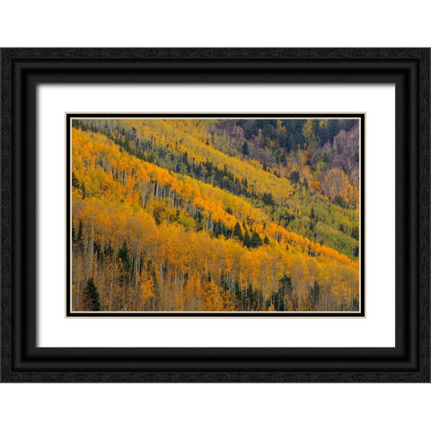 Autumn Rows Black Ornate Wood Framed Art Print with Double Matting by Sherrell, Bill