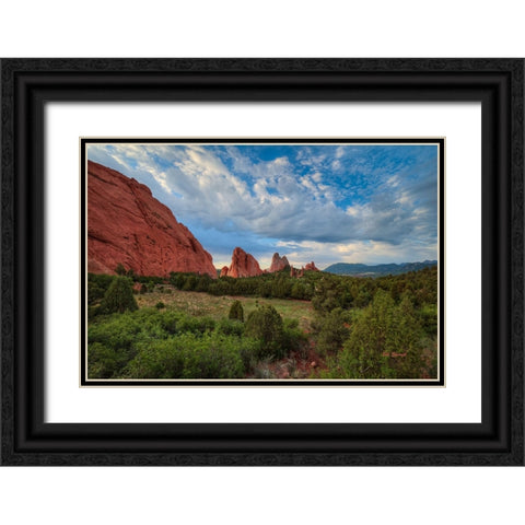 Beauty Eternal Black Ornate Wood Framed Art Print with Double Matting by Sherrell, Bill