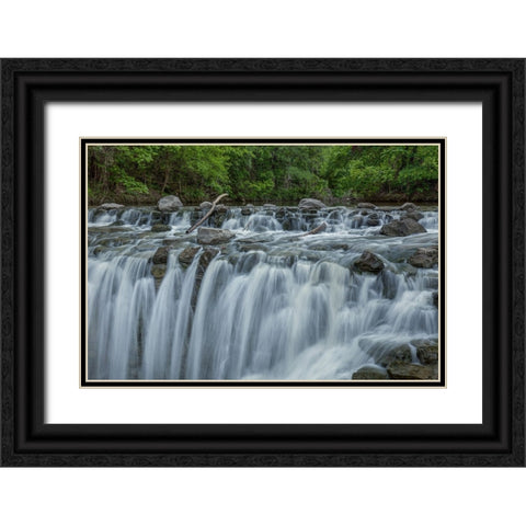 Cascades Black Ornate Wood Framed Art Print with Double Matting by Sherrell, Bill