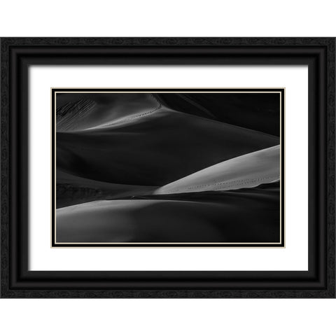 Dune Walk Black Ornate Wood Framed Art Print with Double Matting by Sherrell, Bill