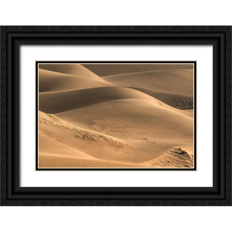 Dunes And Light Black Ornate Wood Framed Art Print with Double Matting by Sherrell, Bill