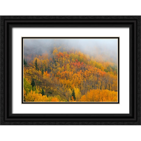 Emergence Black Ornate Wood Framed Art Print with Double Matting by Sherrell, Bill