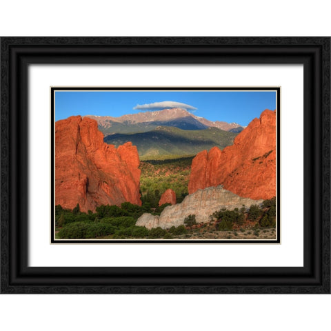 Glowsoft Black Ornate Wood Framed Art Print with Double Matting by Sherrell, Bill