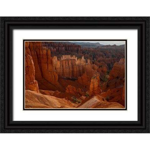 Illumination Black Ornate Wood Framed Art Print with Double Matting by Sherrell, Bill