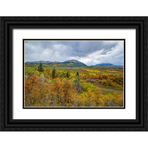 Mountains Of Aspens Black Ornate Wood Framed Art Print with Double Matting by Sherrell, Bill