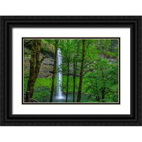 Silver Falls-Oregon 2 Black Ornate Wood Framed Art Print with Double Matting by Sherrell, Bill
