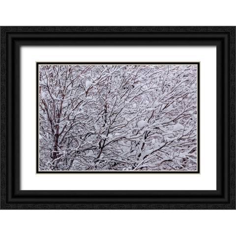 Synergy Black Ornate Wood Framed Art Print with Double Matting by Sherrell, Bill