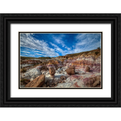 The Calhan Paint Mines Black Ornate Wood Framed Art Print with Double Matting by Sherrell, Bill