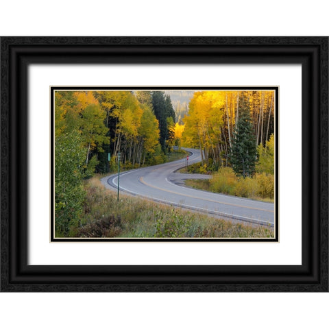 The Golden Highway Black Ornate Wood Framed Art Print with Double Matting by Sherrell, Bill