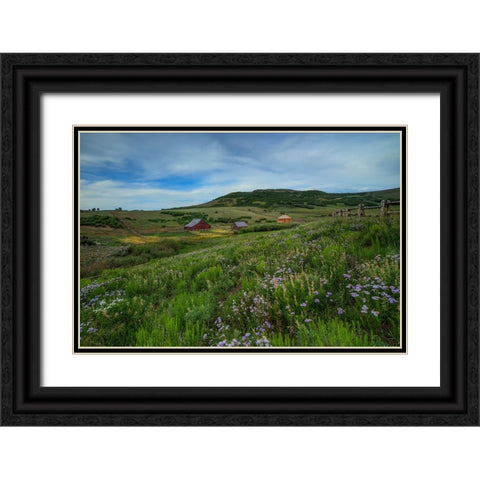 Wildflowers At The True Grit Ranch 1 Black Ornate Wood Framed Art Print with Double Matting by Sherrell, Bill