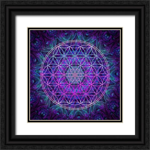 Flower Of Life Black Ornate Wood Framed Art Print with Double Matting by Gray, Cameron