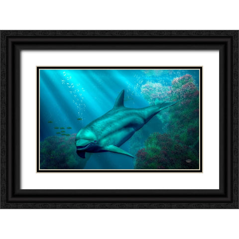 Smiling Dolphin Black Ornate Wood Framed Art Print with Double Matting by Eskridge, Daniel