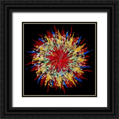 Feather Duster Black Ornate Wood Framed Art Print with Double Matting by Manlove, David