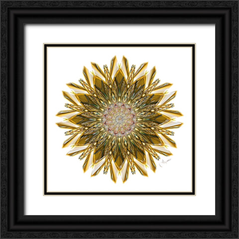 Gold Glass Star Black Ornate Wood Framed Art Print with Double Matting by Manlove, David