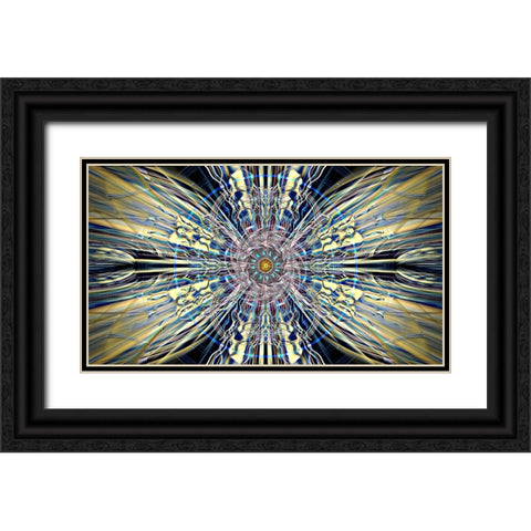 Plasmology Black Ornate Wood Framed Art Print with Double Matting by Manlove, David