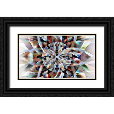 Facet Flower Black Ornate Wood Framed Art Print with Double Matting by Manlove, David