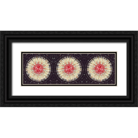 Silo Covers 3b Black Ornate Wood Framed Art Print with Double Matting by Manlove, David
