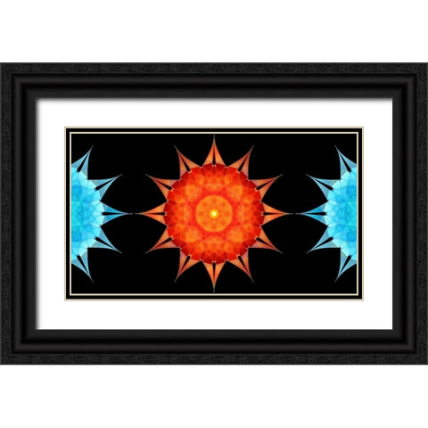 Starfish-side Black Ornate Wood Framed Art Print with Double Matting by Manlove, David