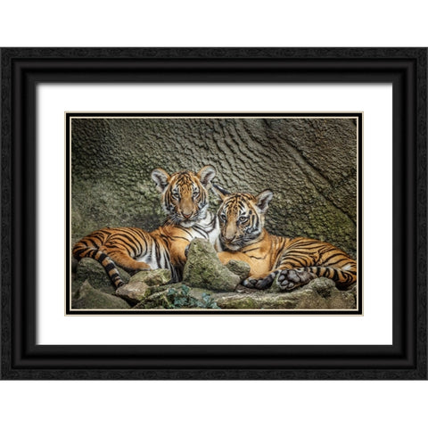 Brothers Twosome Black Ornate Wood Framed Art Print with Double Matting by Galloimages Online