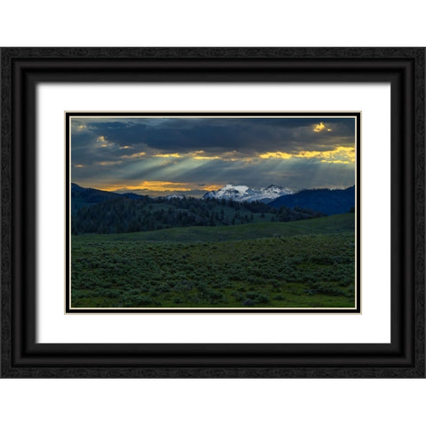 Lamar Valley Sunrise Black Ornate Wood Framed Art Print with Double Matting by Galloimages Online