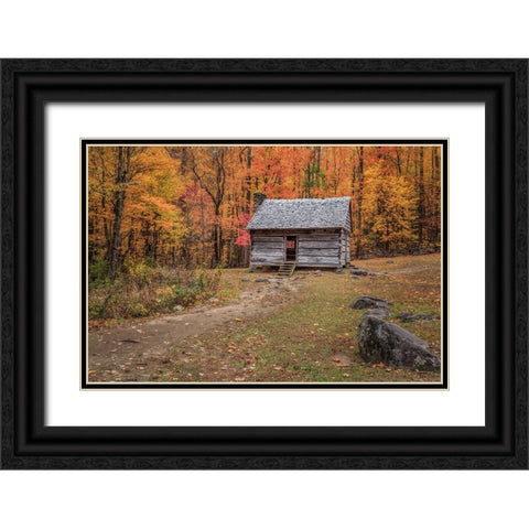 Alex Cole Cabin Black Ornate Wood Framed Art Print with Double Matting by Galloimages Online